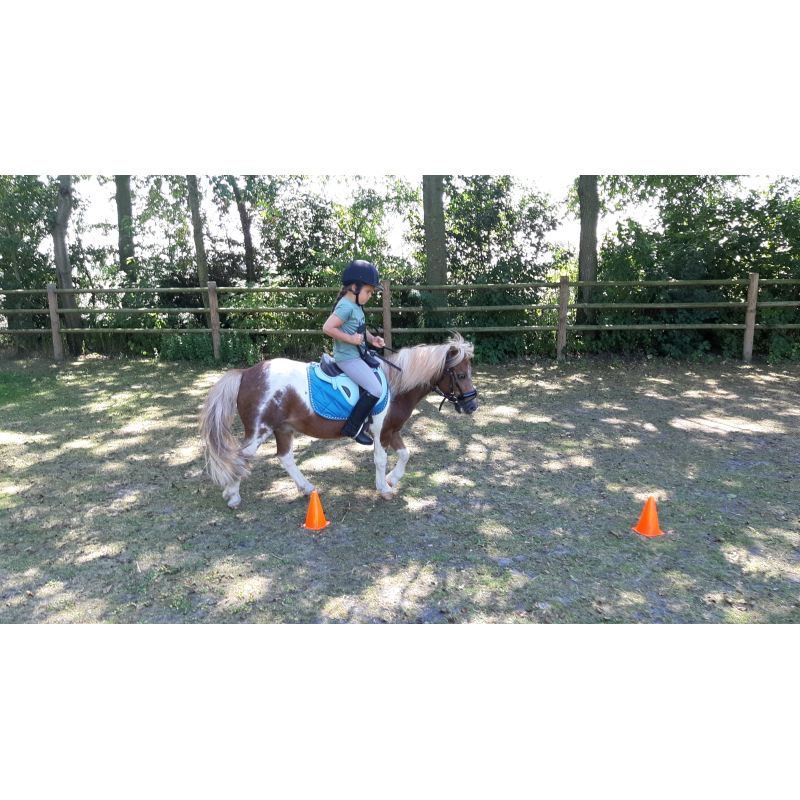 kinderfeestje thema paarden