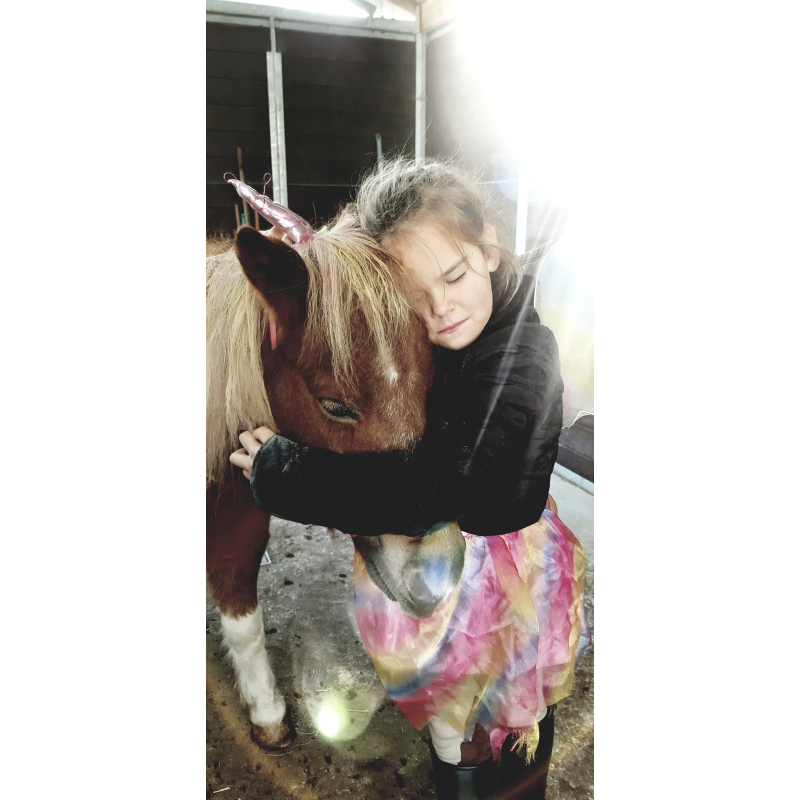  Individuele Coaching & Plezier