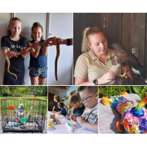 Workshop REPTIELEN vrijdag 21 juli Workshop REPTIELEN vrijdag 21 juli