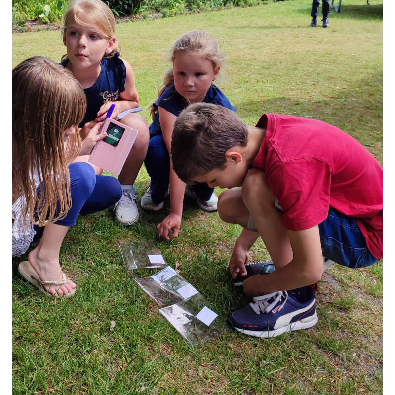 Kinderfeestje wie is de saboteur???