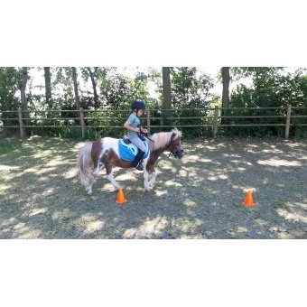 kinderfeestje thema paarden