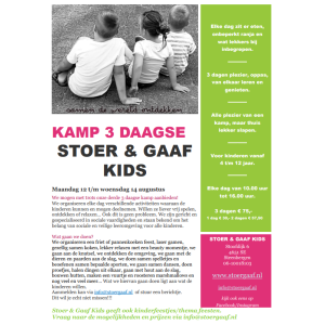 Kamp 3 daagse