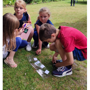 Kinderfeestje wie is de saboteur??? Kinderfeestje wie is de saboteur???